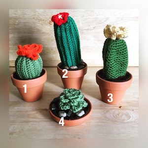 Crocheted Potted Succulents and Cactus Plants--Custom Orders Available!