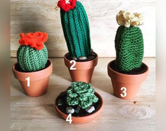 Crocheted Potted Succulents and Cactus Plants--Custom Orders Available!