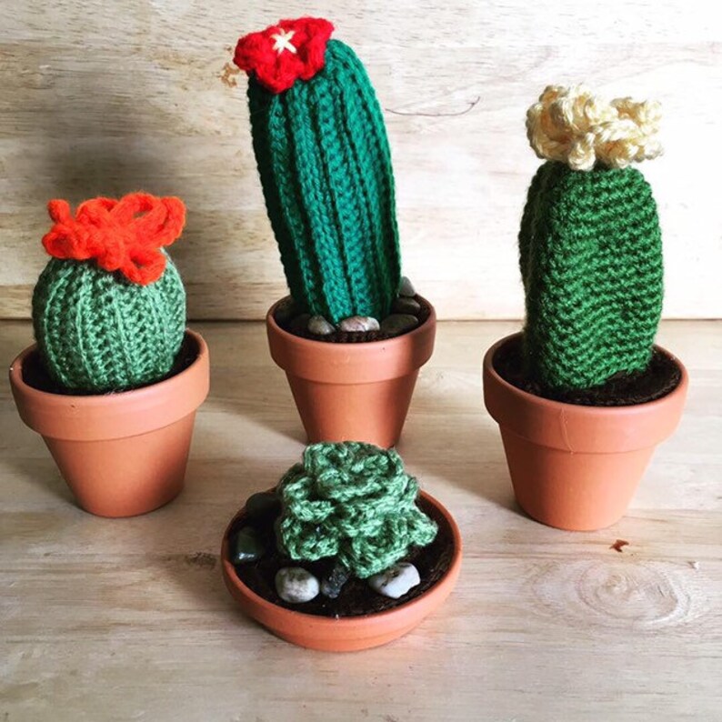 Crocheted Potted Succulents Air PlantAloe in Teracotta Dish