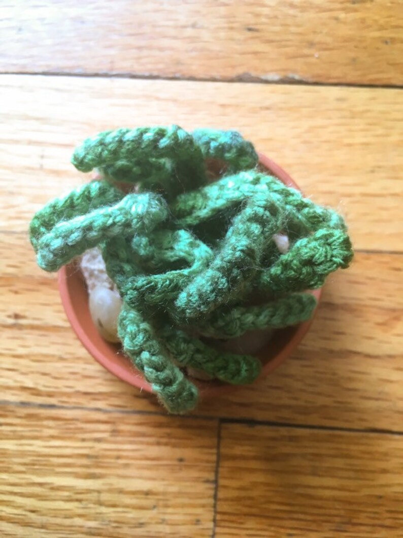Crocheted Potted Succulents Air PlantAloe in Teracotta Dish