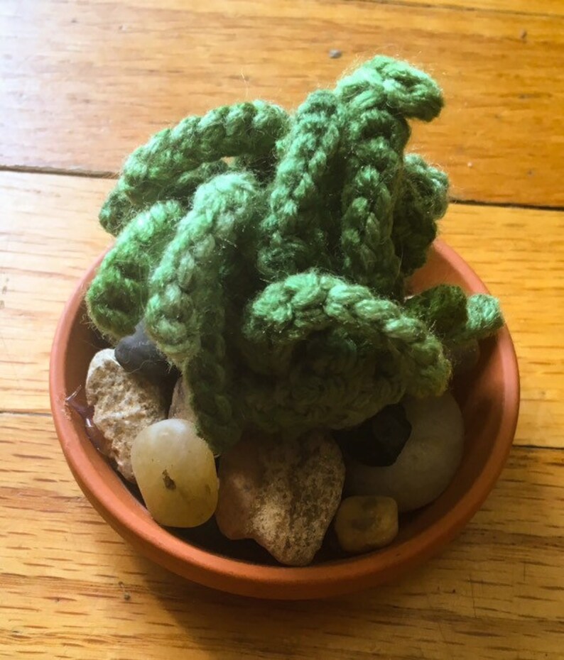 Crocheted Potted Succulents Air PlantAloe in Teracotta Dish
