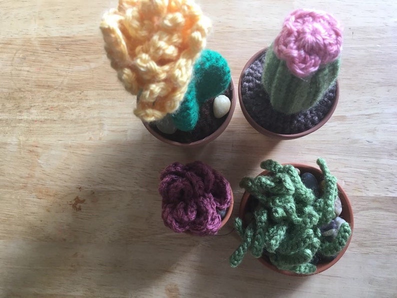 Crocheted Potted Succulents Air PlantAloe in Teracotta Dish