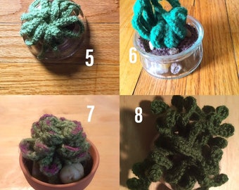 Crocheted Potted Succulents and Cactus Plants--Custom Orders Available!