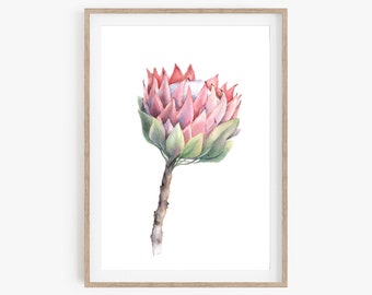 Protea Flower, Protea Print, Protea Watercolor Painting, Flower Painting, Botanical Floral Print,  Boho Home Decor, Giclee Print