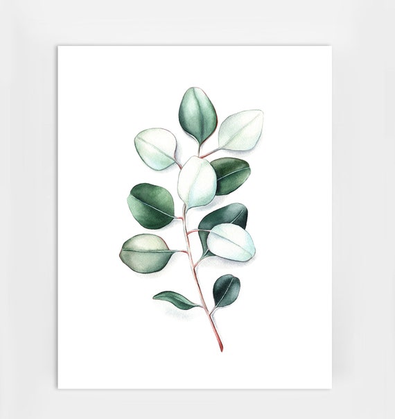 Prints Wall Hangings Silver Dollar Eucalyptus Printable Digital