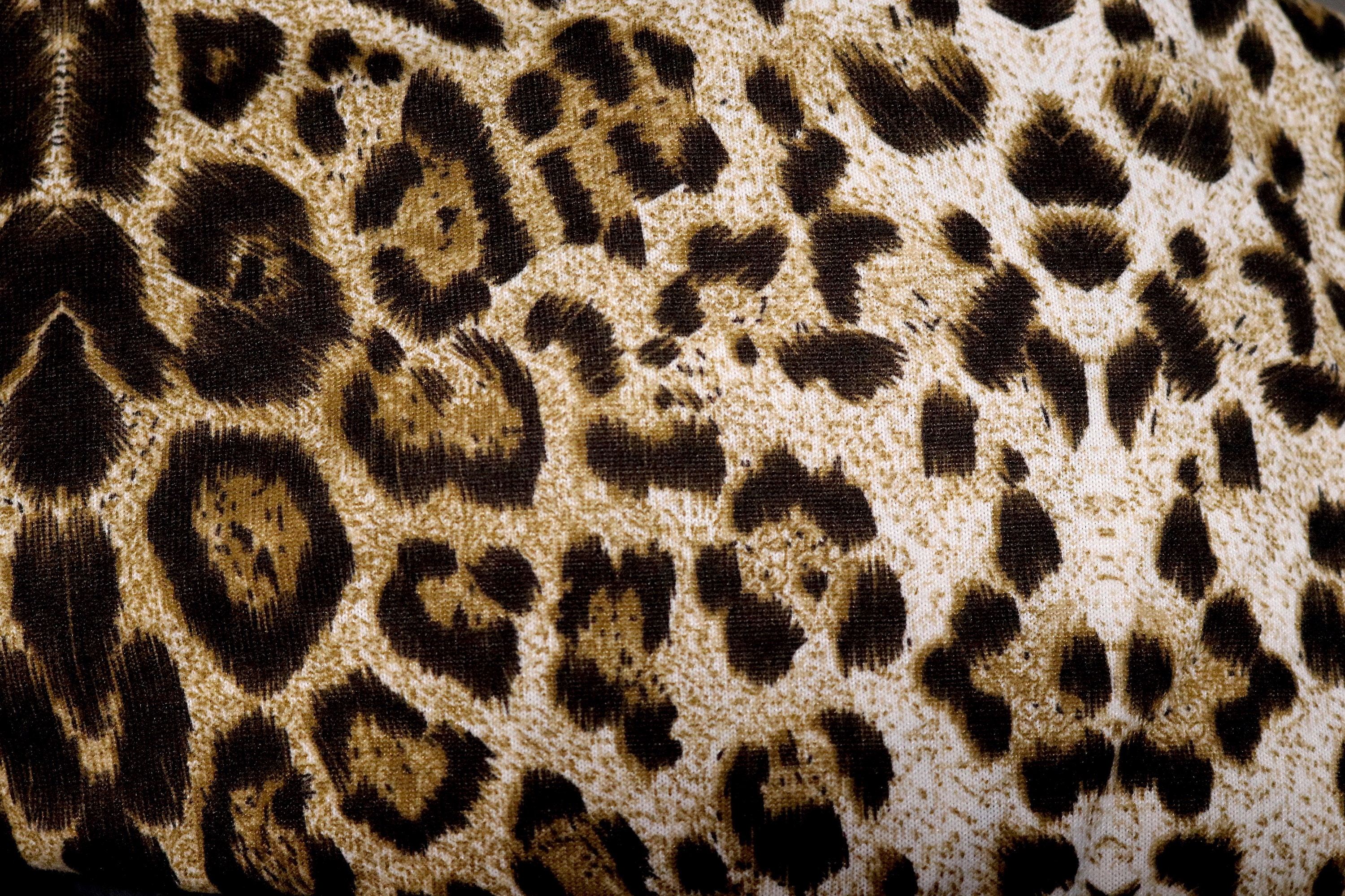 Infinity Scarf Wrap Leopard Cheetah Animal Print Knit Loop Scarf