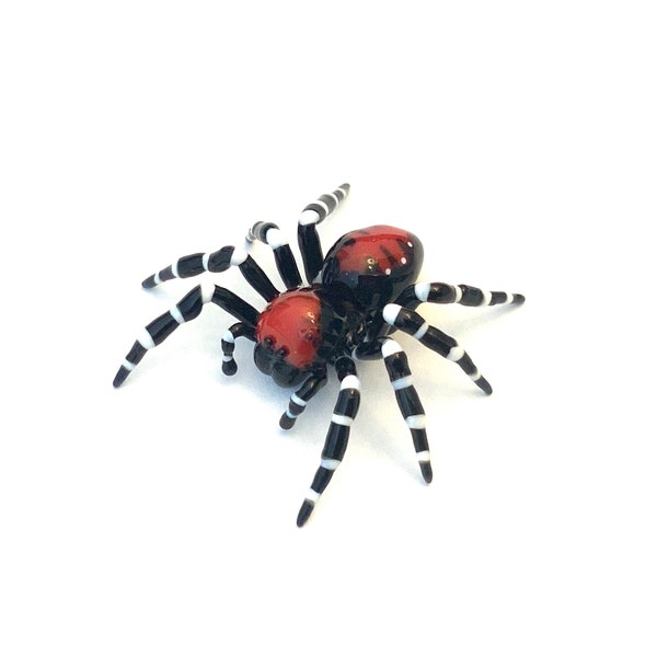 Joker Velvet Spider (Loureedia sp.) - Borosilicate Glass Sculpture by Rafael Glass