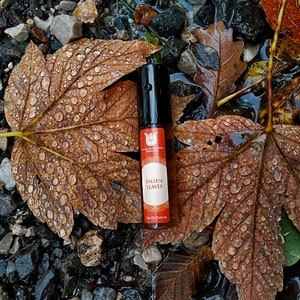 Fallen leaves olfactory art in a bottle,Balsamic and woody fragrance of autumn leaves, with cistus, immortelle,cardamom,vanilla,vetiver image 4