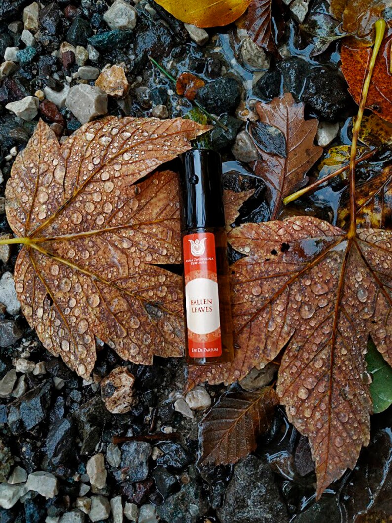 Fallen leaves olfactory art in a bottle,Balsamic and woody fragrance of autumn leaves, with cistus, immortelle,cardamom,vanilla,vetiver image 4