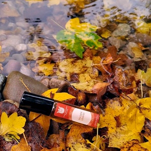 Fallen leaves olfactory art in a bottle,Balsamic and woody fragrance of autumn leaves, with cistus, immortelle,cardamom,vanilla,vetiver image 1