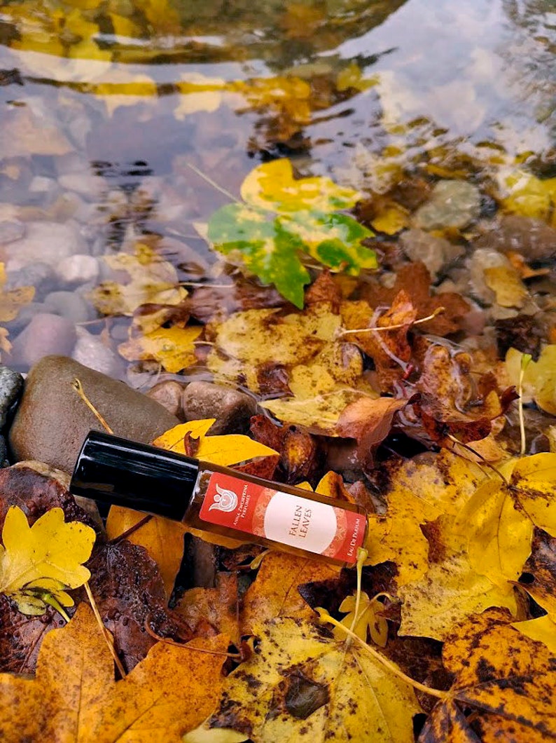 Fallen leaves olfactory art in a bottle,Balsamic and woody fragrance of autumn leaves, with cistus, immortelle,cardamom,vanilla,vetiver image 1