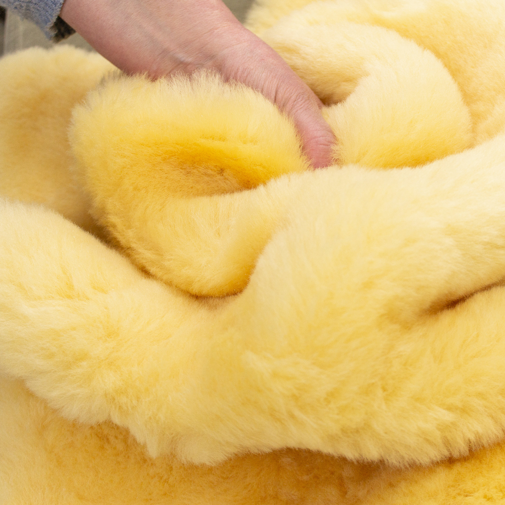 Sheepskins, soft tanned leather with natural fleece intact, washable, indoor/outdoor, medical, play lamby, equestrian