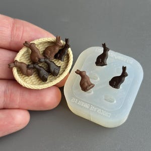 May include: Miniature chocolate bunny candies in a woven basket and a silicone mold. The bunnies are various shades of brown. The mold is white and has the text "CHOCOLATE BUNNY E12".