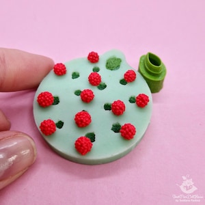 Set zum Herstellen von Miniatur-Himbeeren - Silikonform und Ausstechform 1:6. Die Form kann gebacken werden. Zufällige Farben Formen.
