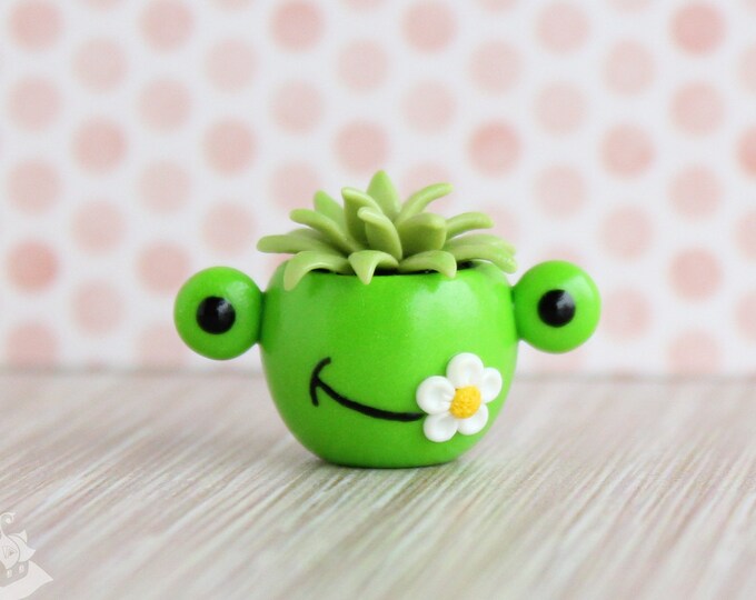 Miniature Plant in Pot. Scale 112. Mini Plant. Garden. Succulents