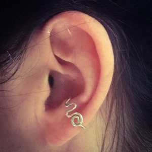 May include: A silver ear cuff in the shape of a snake, worn on the upper part of the ear.