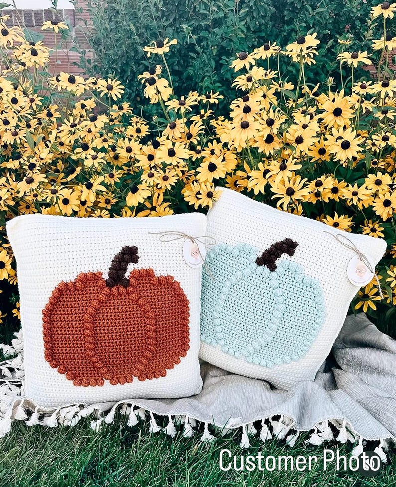 May include: Two square crochet pillows with white backgrounds. One pillow features a textured burnt orange pumpkin with a dark brown stem, and the other features a textured light blue pumpkin with a dark brown stem. Each has a small round tag.