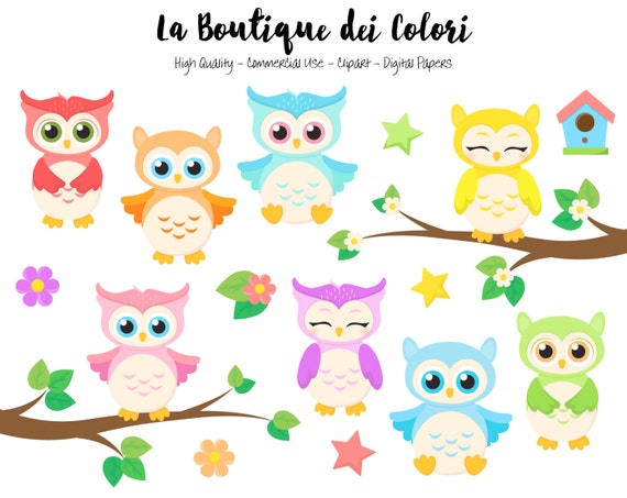 Kolorowe Dziecko Sowy Clipart Cute Graphics Png Ptaki Zwierzęta Woodland Baby Shower Przedszkola Sowa Clip Art Planner Naklejek Komercyjnych