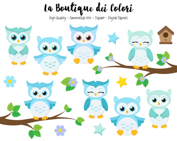 Blaue Baby Eulen Clipart Susse Digitale Grafik Png Vogel Etsy