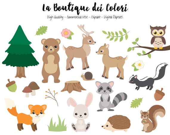 Woodland Animals Clipart, Cute Digital Graphics PNG, Fox, bear, bunny ...