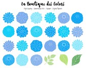 Il_170x135