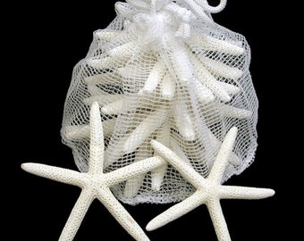 10 Creamy White Pencil Starfish in netting bag /Sea Stars Size 5"-7"