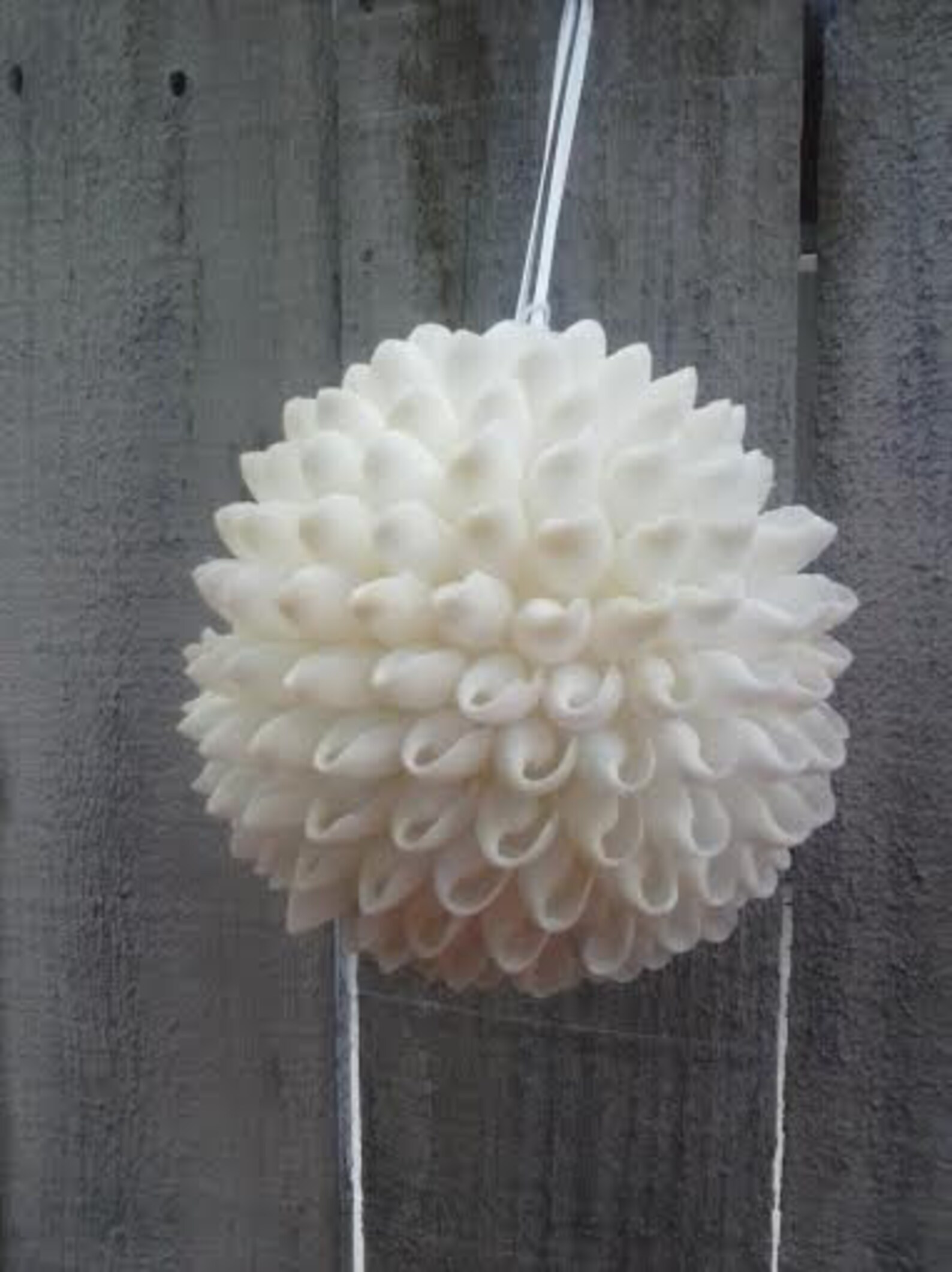 Shell Balls White Shell Ball/shell Pomander/shell Etsy