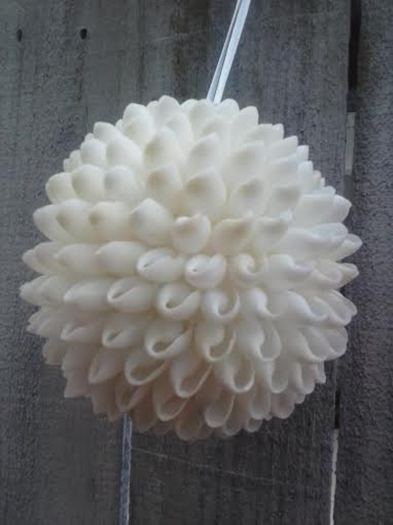 Shell Balls White Shell Ball/shell Pomander/shell Etsy