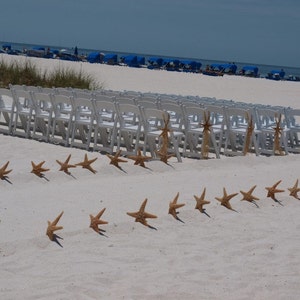 4 Sugar Starfish 810 Beach Wedding And Coastal Home Decorations Bild 5