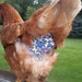 see more listings in the Chicken Jackets section