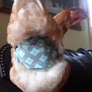 Chicken diaper/ Hen diaper/ Rooster diaper/ Poultry diaper/Standard chickens.