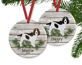 dog n cat wellness clinic