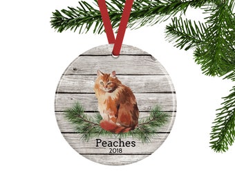 Orange Cat Ornament - Personalized Gift for Cat Lover