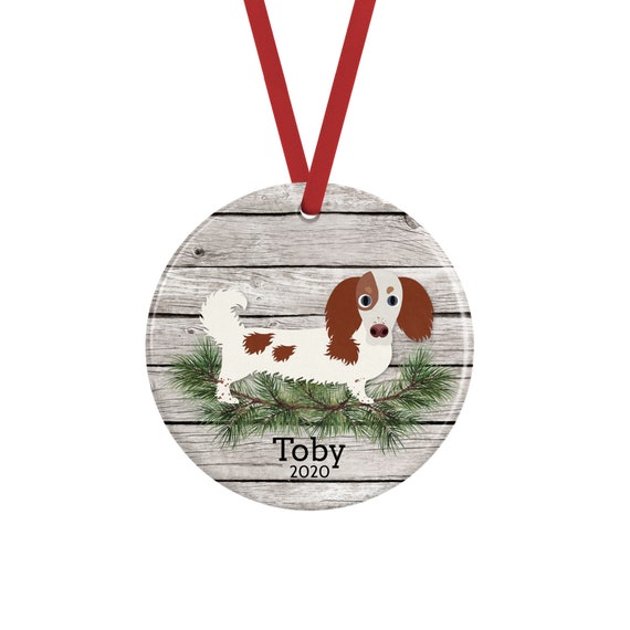 Long haired dachshund gift cheap items
