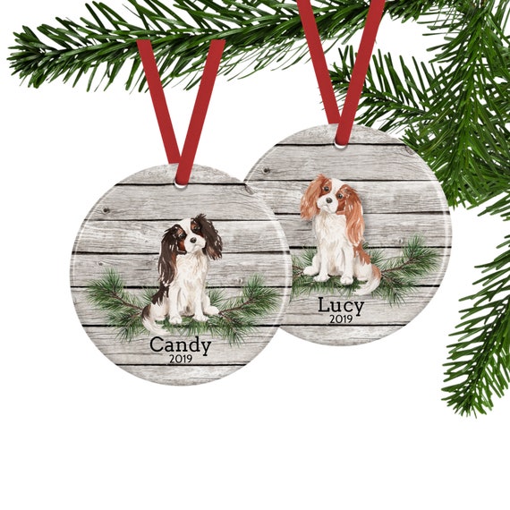 betta fish led light