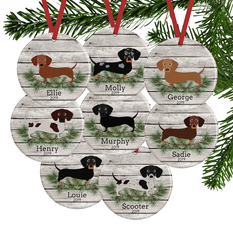 Personalized short haired Dachshund ornaments shown in 8 different coat colors with Christmas greenery.