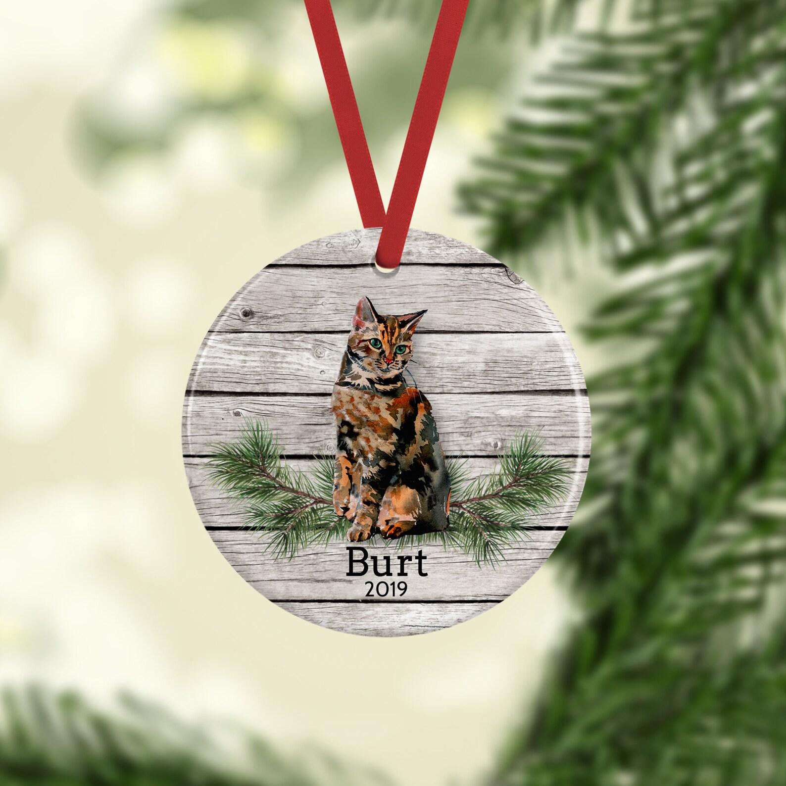 Tortoiseshell Cat Ornament Personalized Cat Memorial Gift Etsy