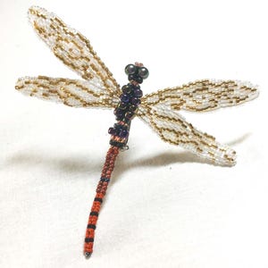 Perleninsekten, Libellen-Anleitung, Englische Sprache