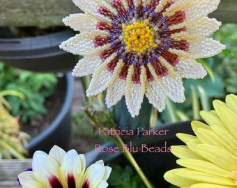 Seed bead pattern for Treasure flower, African daisy pattern