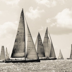K&ouml;nnte beinhalten: Ein Schwarzwei&szlig;foto einer Flotte von Segelbooten, die auf dem Wasser segeln. Die Segelboote sind alle unterschiedlich gro&szlig; und geformt und bewegen sich schnell &uuml;ber das Wasser. Die Segelboote sind alle wei&szlig; mit schwarzen Akzenten.