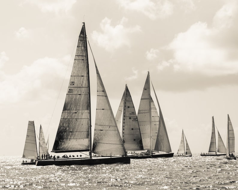 K&ouml;nnte beinhalten: Ein Schwarzwei&szlig;foto einer Flotte von Segelbooten, die auf dem Wasser segeln. Die Segelboote sind alle unterschiedlich gro&szlig; und geformt und bewegen sich schnell &uuml;ber das Wasser. Die Segelboote sind alle wei&szlig; mit schwarzen Akzenten.