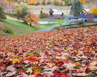 Sleepy Hollow Farm, Woodstock, Vermont, Farm Decor, Farm Art, farm photography, rustic decor, new england art,  vermont art, vermont decor