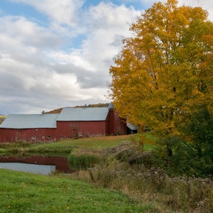 Jenne Farm, Reading, Vermont, Farm Decor, Farm Art, fotografía de granja, decoración rústica, arte de nueva inglaterra, arte de vermont, decoración de otoño, decoración de otoño