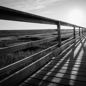 Grays Beach Boardwalk Cape Cod, cape cod art, cape cod photography, new england decor, coastal decor, coastal photography, black & white art