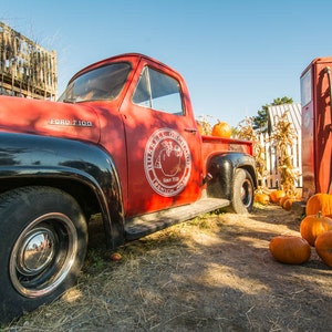 Russell Orchards, Ipswich, MA 1954 Ford F100 Vintage Truck con calabazas, decoración de la granja, decoración de coche vintage, decoración de otoño, arte de otoño, nueva inglaterra