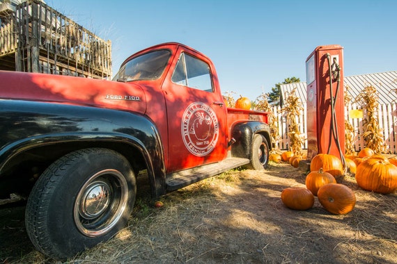 Russell Orchards, Ipswich, MA 1954 Ford F100 Vintage Truck With 