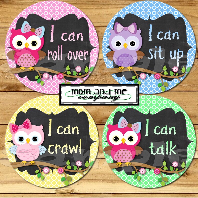 My First Baby stickers Milestone Onepiece Stickers Baby Girl Owl Monthly Stickers Baby Shower Gift I can stickers chalkboard chalk
