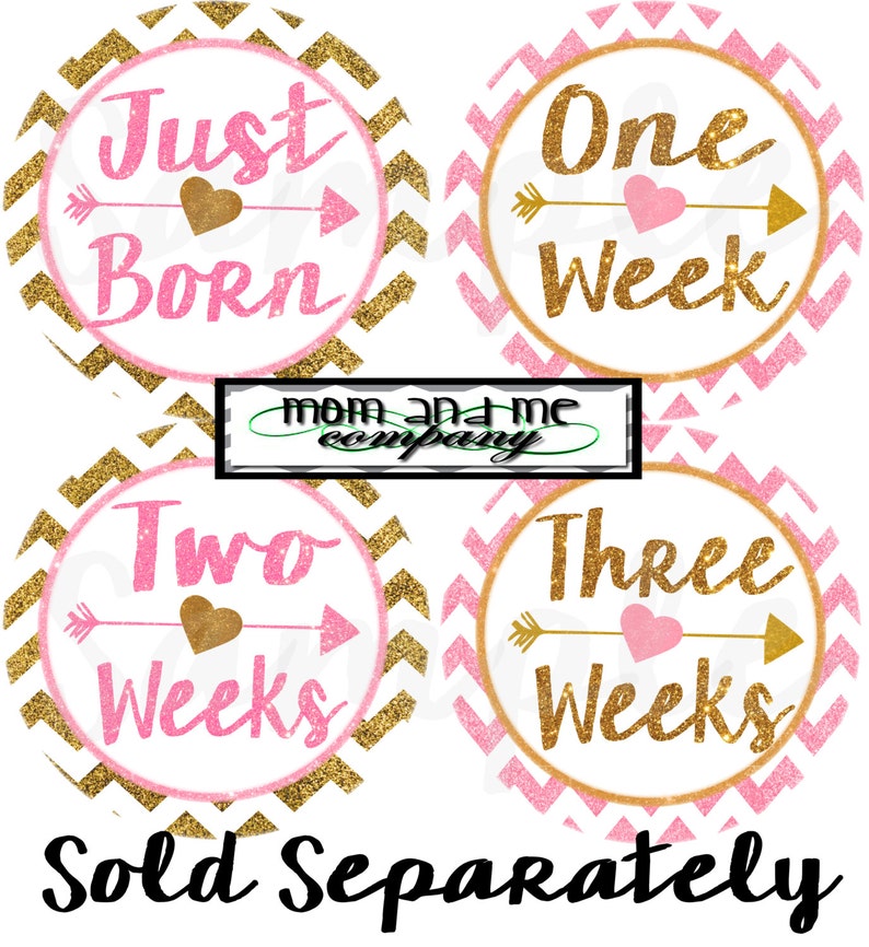 Gold and Pink Glitter Baby Girl Monthly stickers Baby month stickers baby Shower gift Month baby sticker Months 1-12 stickers Month decals