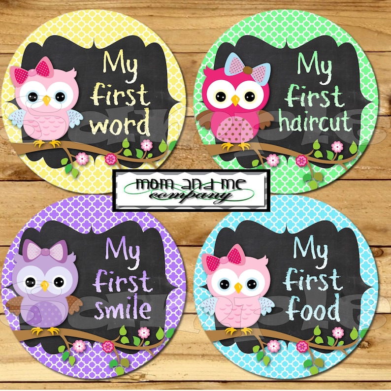 My First Baby stickers Milestone Onepiece Stickers Baby Girl Owl Monthly Stickers Baby Shower Gift I can stickers chalkboard chalk