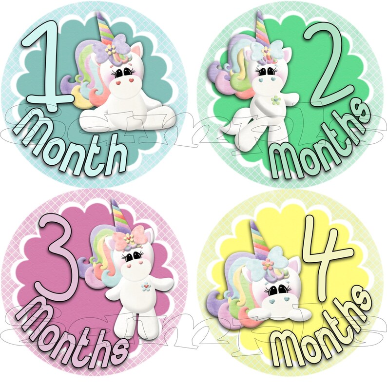 Monthly Stickers Baby Shower gift 1-12 Month baby stickers Milestone stickers Infant stickers Onepiece Baby Girl unicorn labels decals set